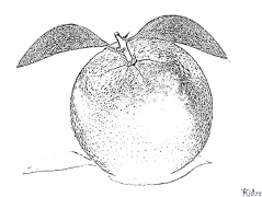 Pomarańczowy Kolorowanki Do Druku